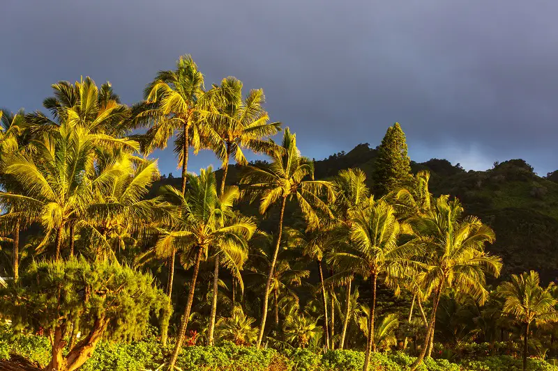 Picturesque view of Hawaii island