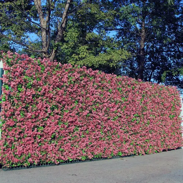 home-backyard-designs-privacy-flower-hedge-fence