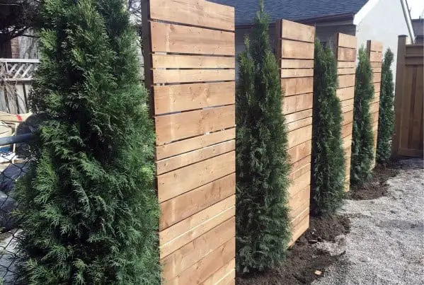 pine-tree-and-wood-panels-luxury-privacy-fence