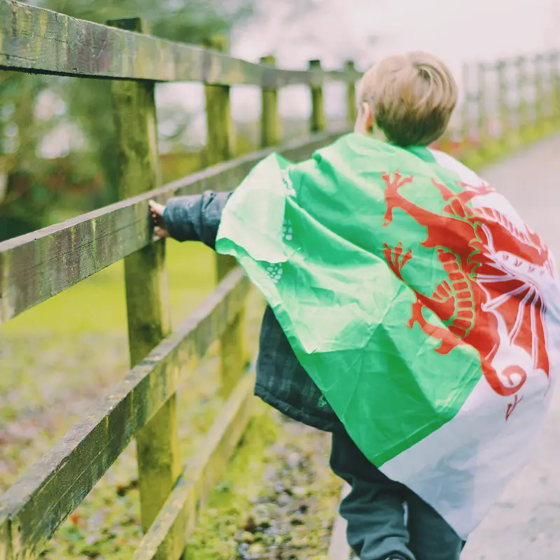 Wales flag