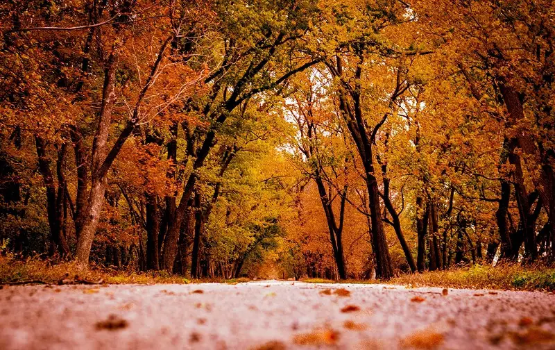 missouri-fall