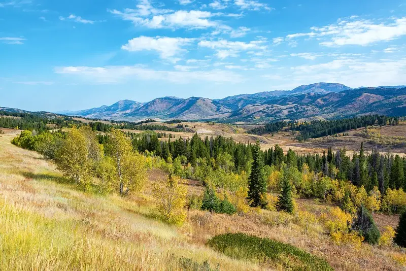 Southern Wyoming Landscape