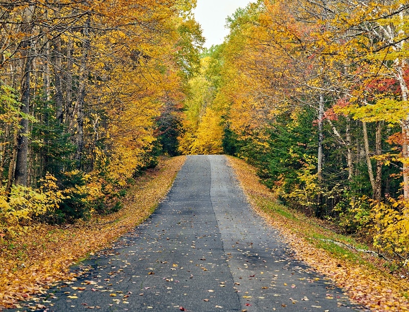 Autumn road in Maine