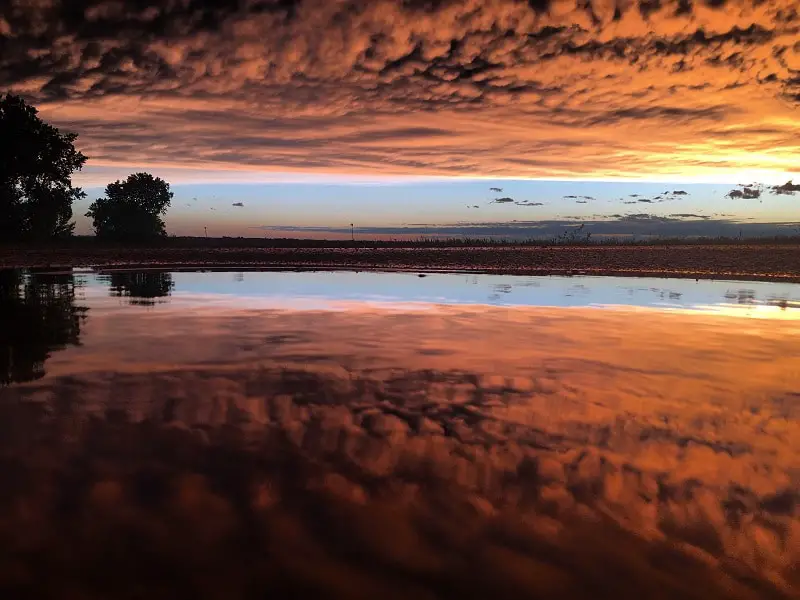 north-dakota-puddle-shot