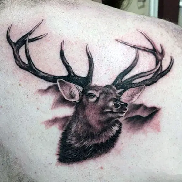 back-of-shoulder-blade-mens-deer-tattoo
