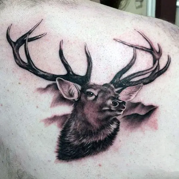 Reindeer Tattoos to Guide You To Your Next Tattoo Appointment – The Tattooed  Archivist