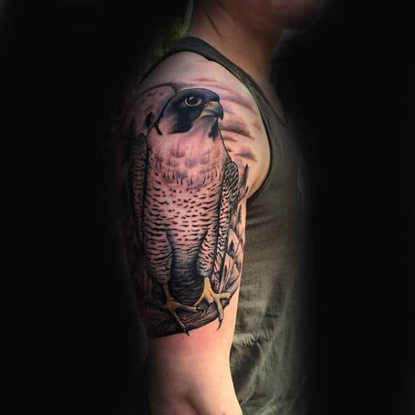 Traditional Falcon Tattoo Design For Arm By Stefan Johnsson