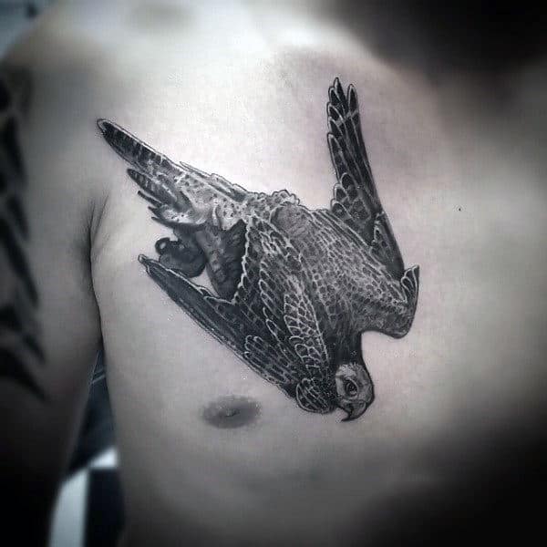 Aggregate more than 66 falcon tattoo back - vova.edu.vn