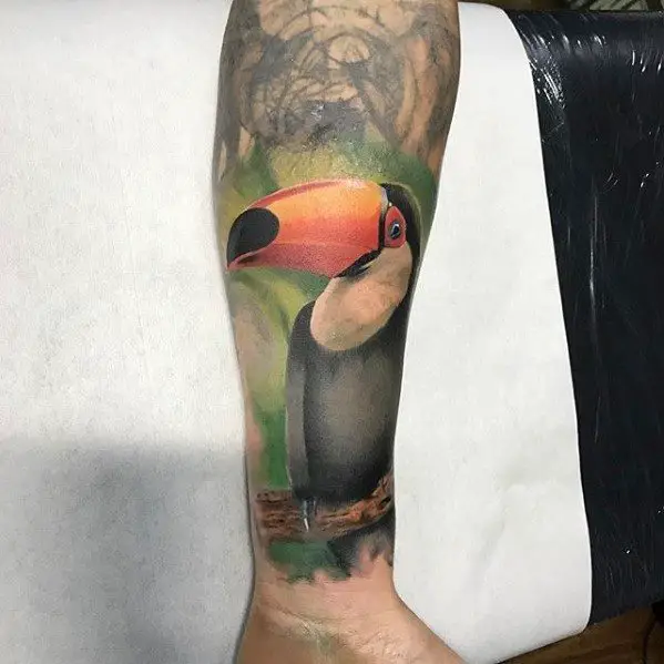 distinctive-male-toucan-tattoo-designs