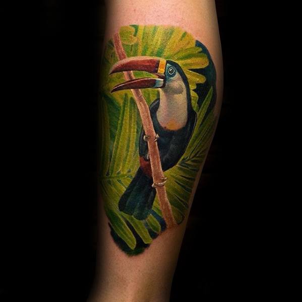 guys-toucan-tattoo-design-ideas