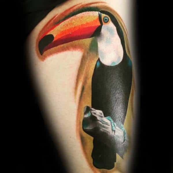 male-toucan-tattoo-ideas