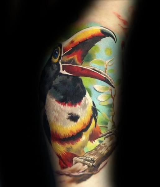 toucan-guys-tattoo-designs