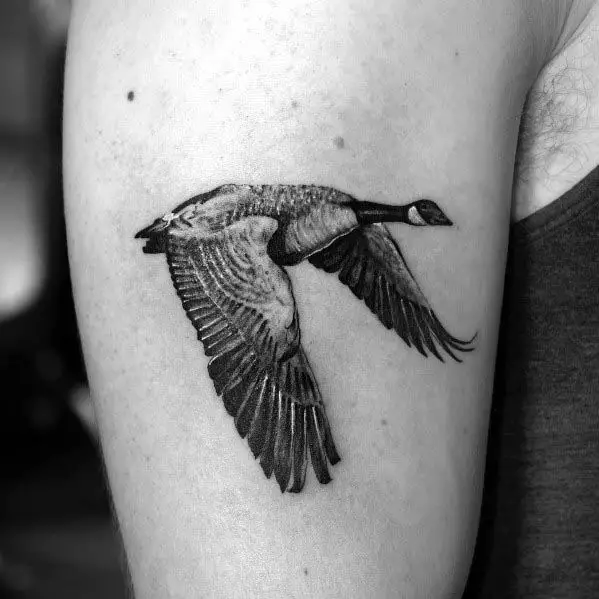 Large Canada Goose Tattoo by domsylvain  Tattoogridnet