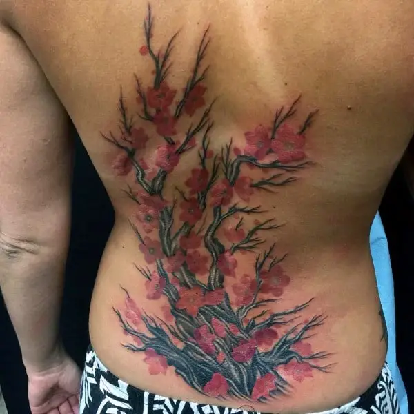 mens-back-tattoo-of-cherry-blossom-tree