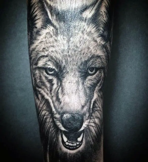 cool-male-coyote-tattoo-designs-forearm-sleeve