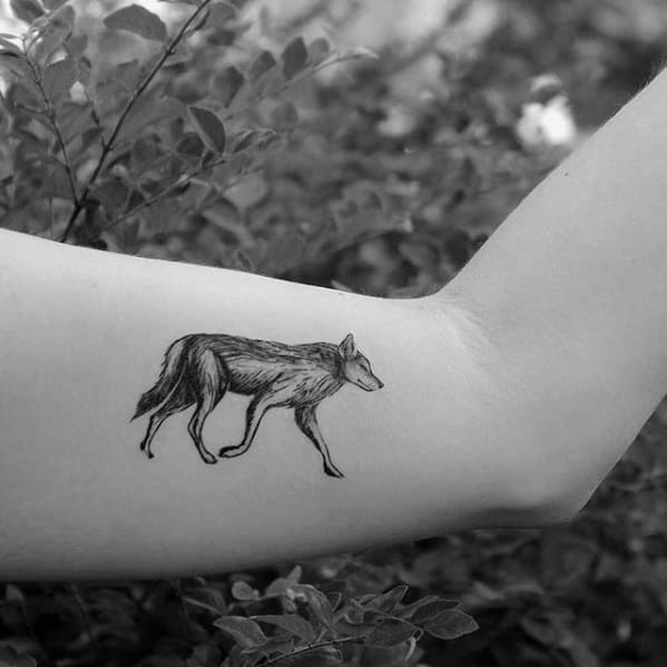 guys-coyote-small-inner-arm-tattoos