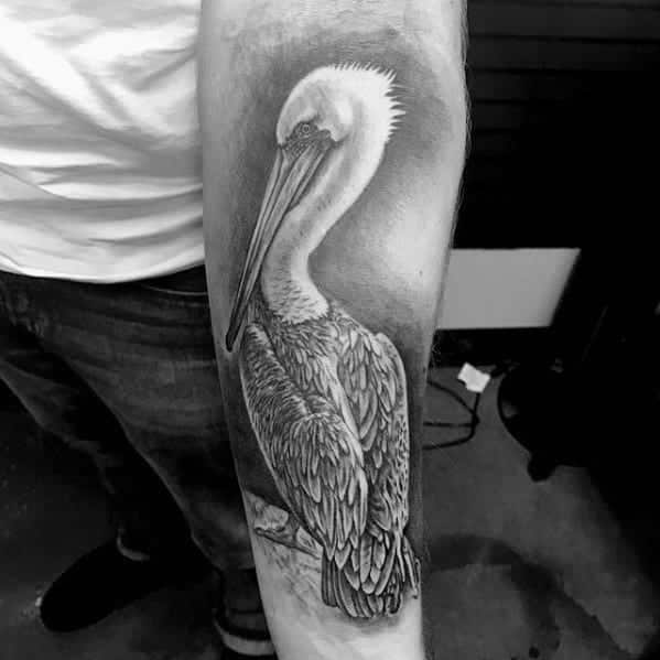3d-heavily-shaded-inner-forearm-3d-male-cool-pelican-tattoo-ideas