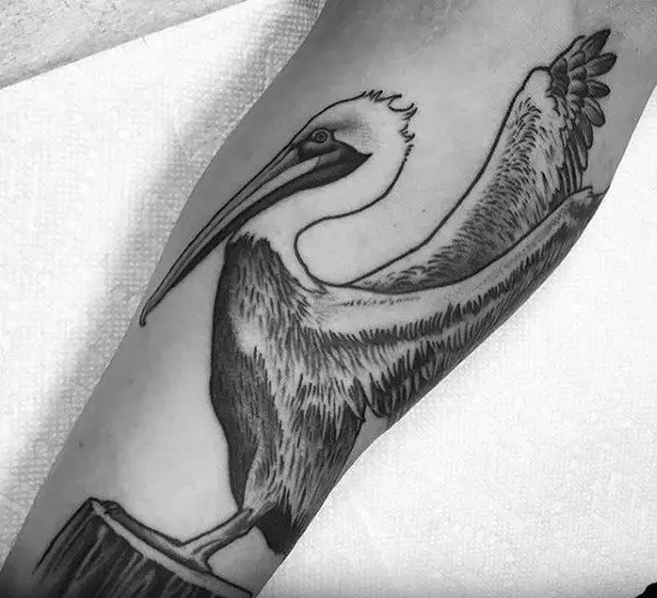 male-pelican-on-dock-post-forearm-tattoo-ideas