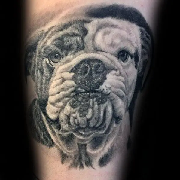 3d-realistic-bulldog-head-male-arm-tattoo-design-inspiration