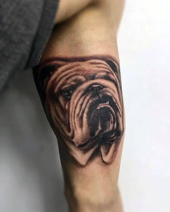 inner-arm-bicep-bulldog-realistic-guys-tattoo-design-ideas