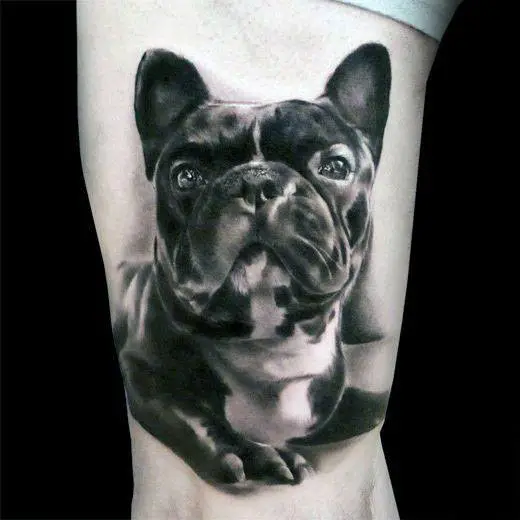 realistic-3d-mens-bulldog-thigh-tattoo-designs